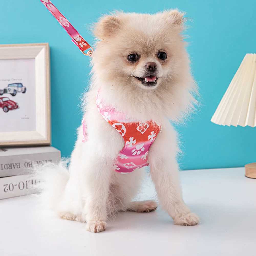 Dog Strap Set Cat Vest Dog Strap Walking Tool Led Dog Accessories Pet Supplies ZY1012 X250326