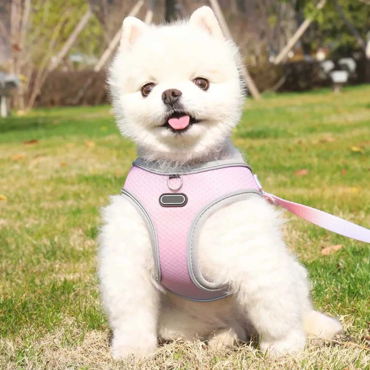 1 pet walking style dog harness adjustable reflective soft dog harness breathable dog vest X250326
