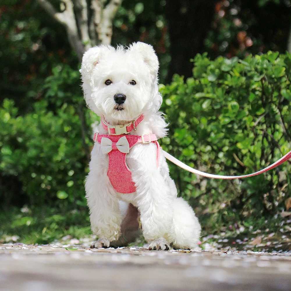 Nylon dog collar seat belt cute bow small dog collar adjustable pet collar vest with lead suitable for small and medium-sized dogs X250326