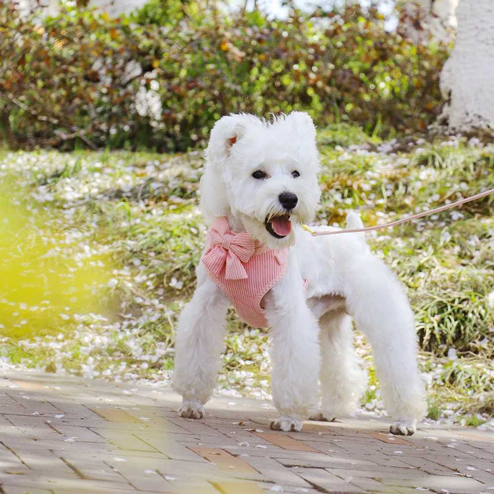 3-Piece Dog Collar Strap Set Breathable Dog Strap Soft Velvet Dog Necklace with Bow Pet Walk Rope X250326