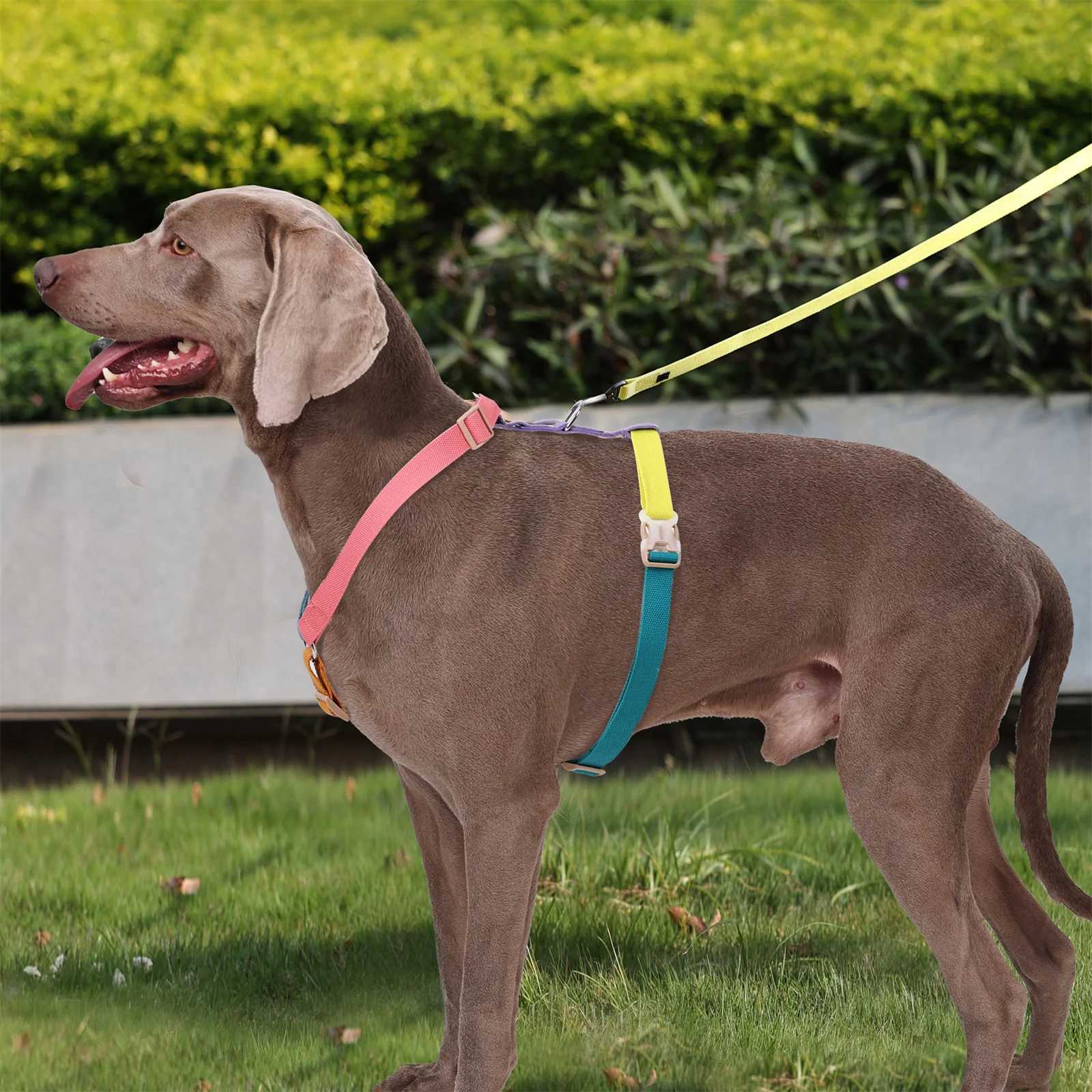 Non pull dog harness suitable for medium-sized and large dogs cotton strap breathable dog harness adjustable easy for pet walking harness training X25