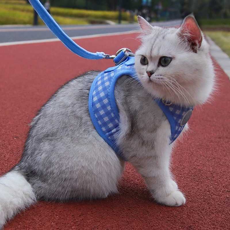 Comfortable plain weave dog harness with stylish polyester pet vest suitable for small to medium-sized dogs for outdoor walks and activities X250326