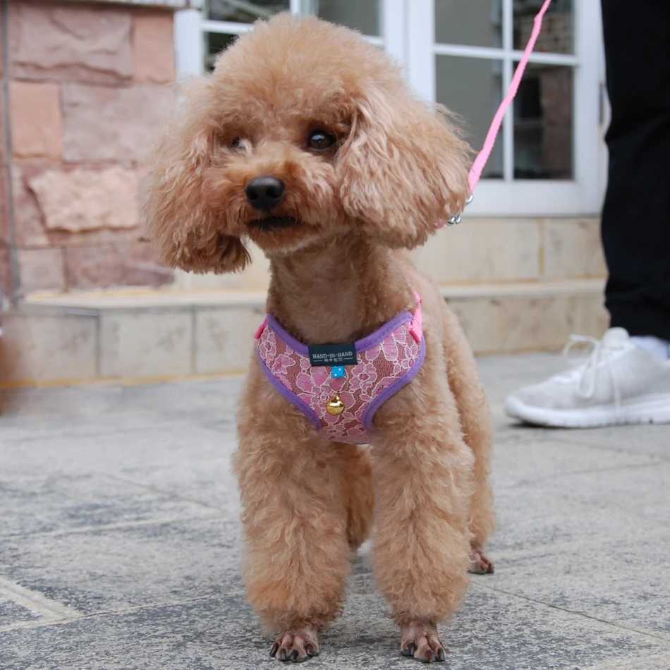 Dog and cat lace shoulder strap vest pet product adjustable with bell running dog strap small dog polyester mesh strap suitable for small and medium-s