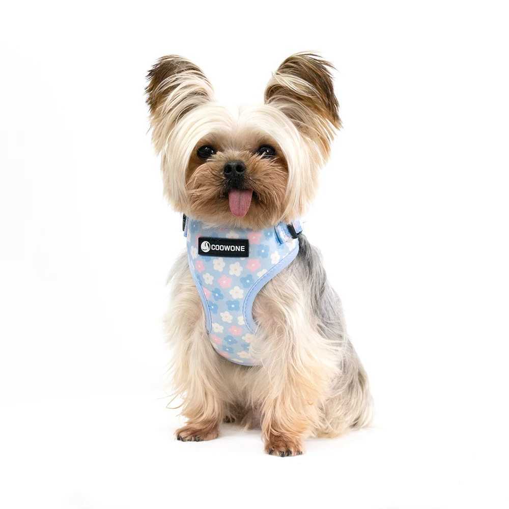 Adjustable pet dog collar durable soft and cute creative color blue flower belt chloroprene rubber safety belt poop bag dispenser X250326