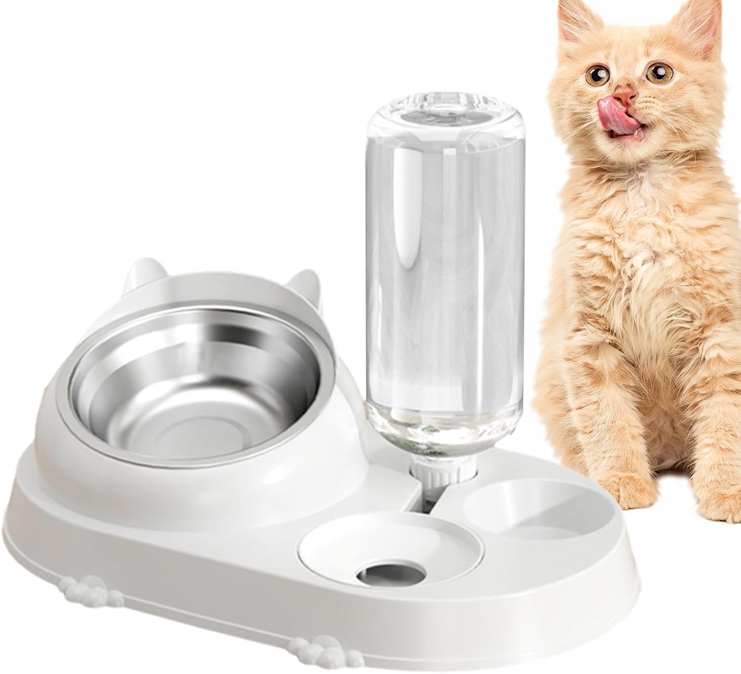 Anti Spill Cat Elevated 16 Degree Tilted Pet Food Bowl Set - Automatic Water Dispenser for Cats and Small Dogs Free shipping