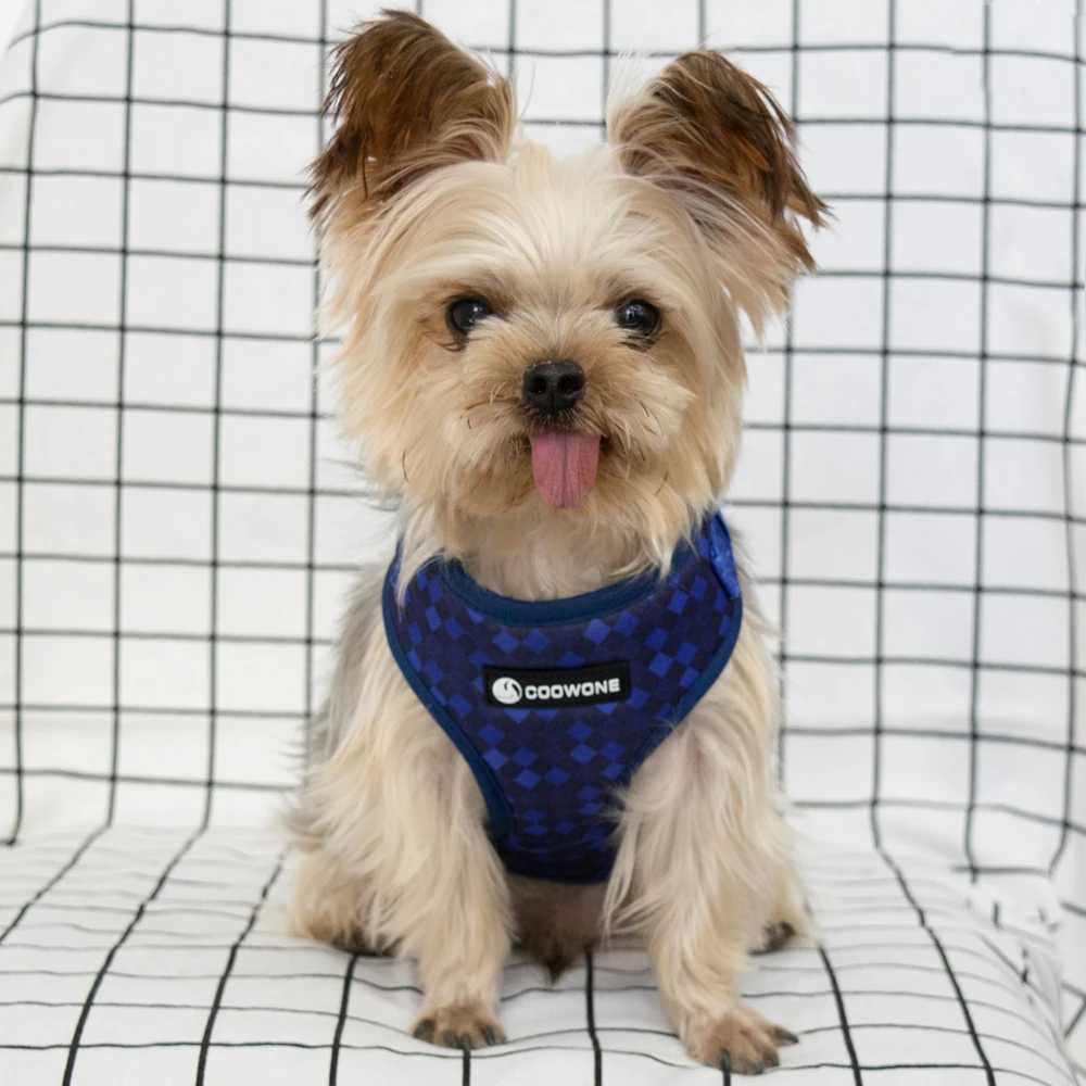 Adjustable pet dog collar durable soft cute creative deep blue diamond belt chloroprene rubber safety belt poop bag dispenser X250326