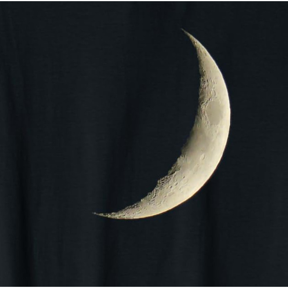 T shirt for Mens Beautiful Crescent Moon - Lunar Lovers Graphic Tee Casual Tops Clothes Short sleeve