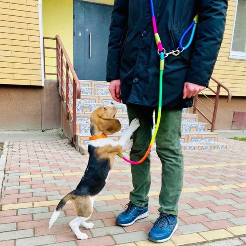 Dog leash dog leash walking dog shoulder strap no leash double ended leash dog leash X250326