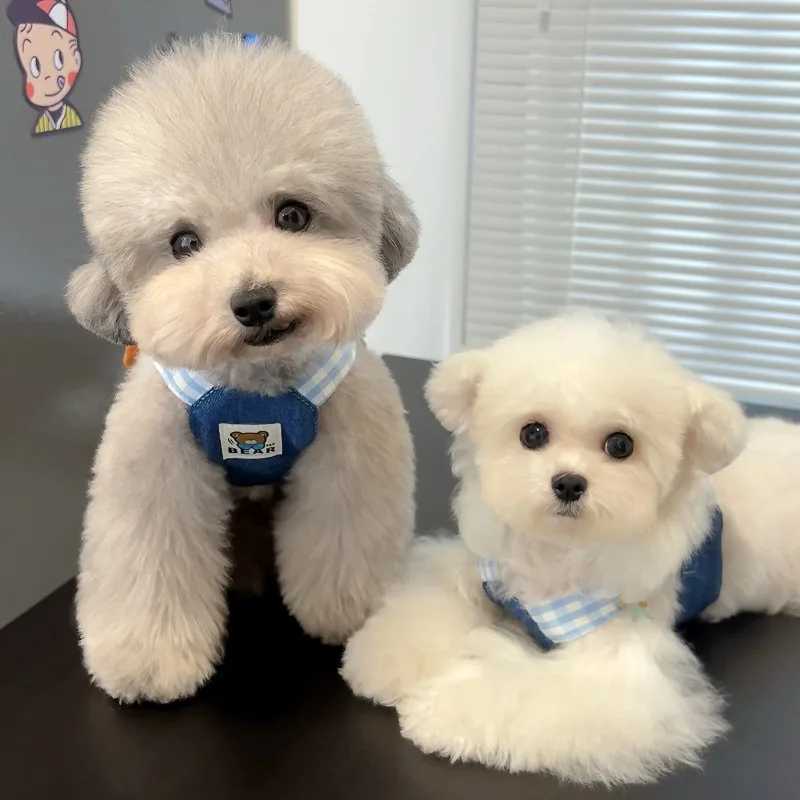 Home>Products>Dog Straps>Dog Straps X250326