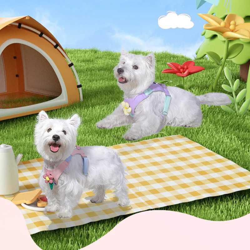Pet dog harness for small dogs lightweight soft dog harness no escape vest dog harness with belt X250326
