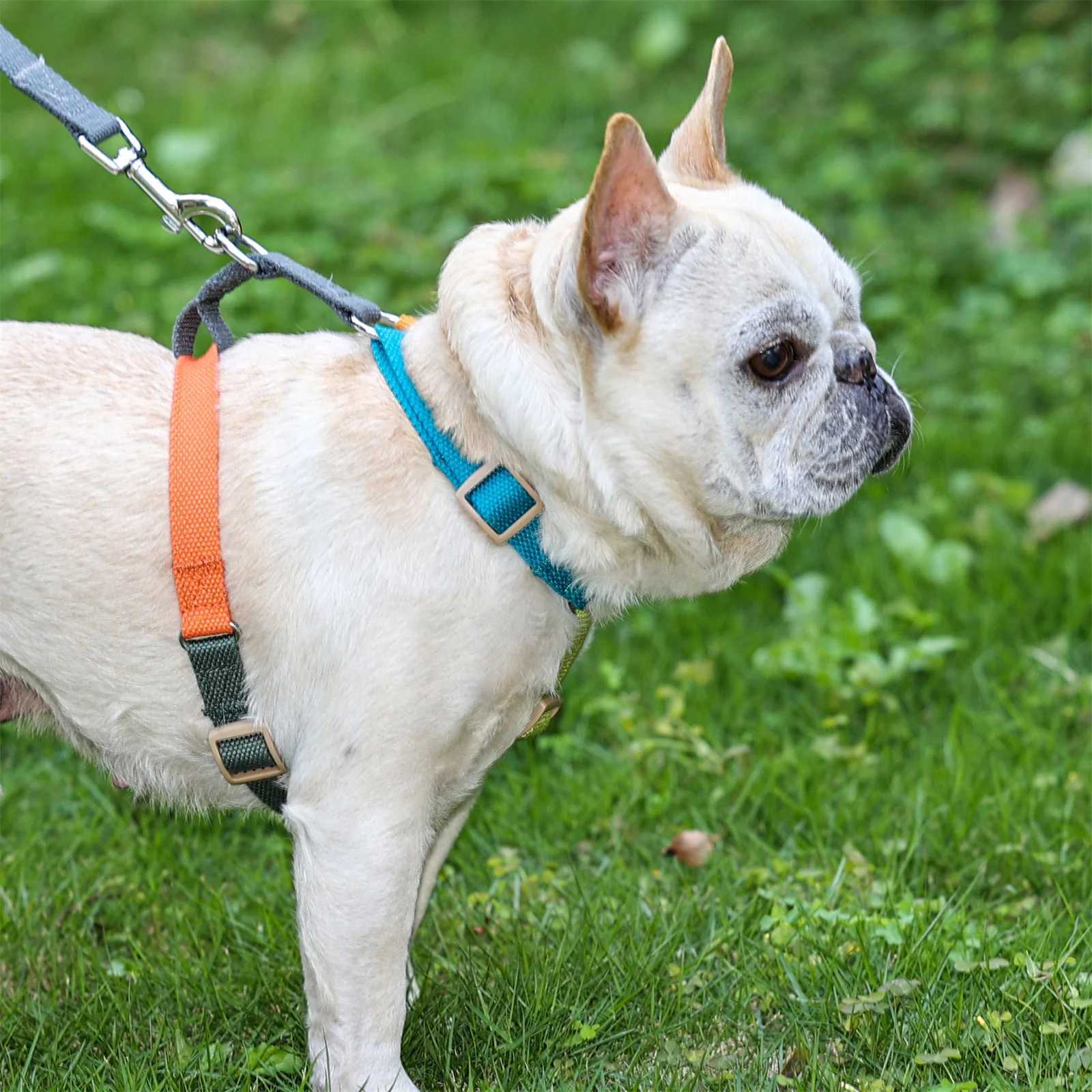 Non pull dog harness suitable for medium-sized and large dogs cotton strap breathable dog harness adjustable easy for pet walking harness training X25