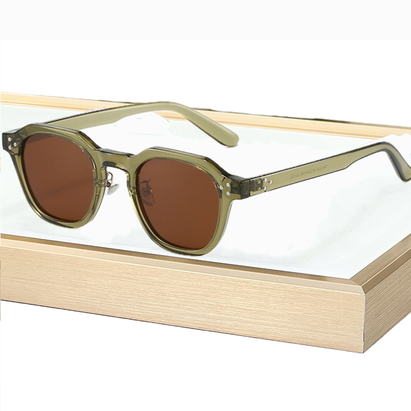 Retro Polarized Sunglasses Men Ultralight TR90 Frame Polygon Women Sun Glasses Outdoor High Quality Travel Eyewear 1004 IVISTA