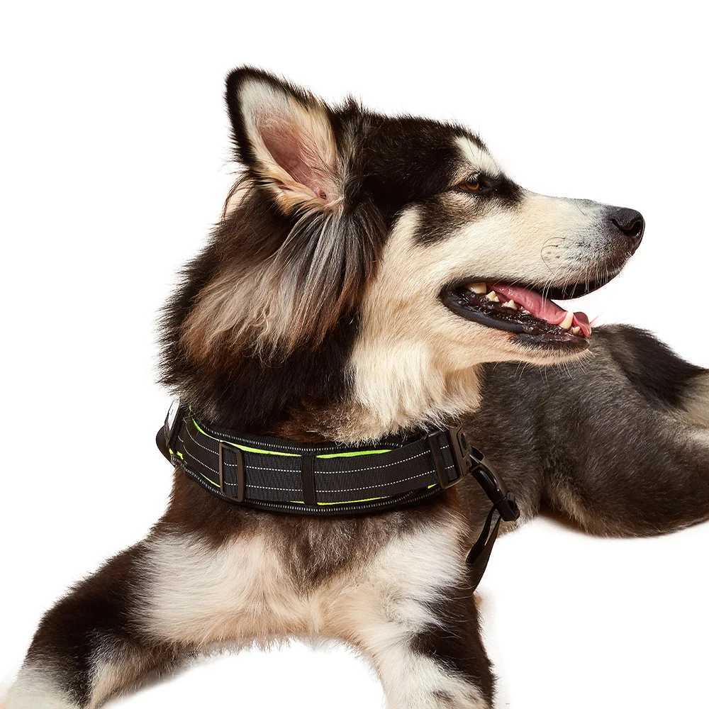 Safe Non Pull Puppy Strap Vest Breathable Strap Pet Strap for Small Medium and Dog Straps French Bulldog Chihuahua Poodle X250326
