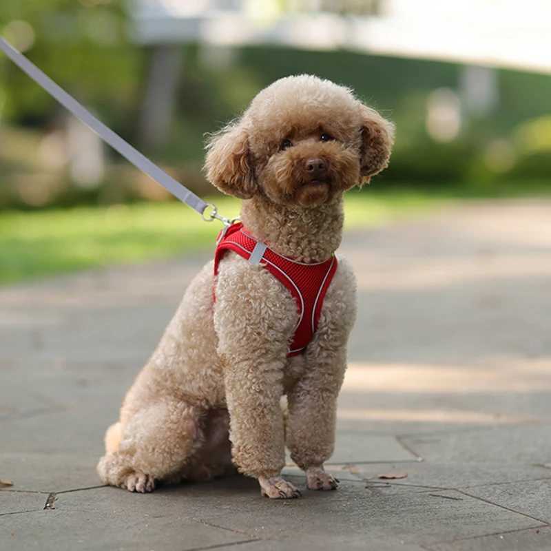 Dog Strap Set Suitable for Small Dogs Adjustable Puppies Cat Strap Vests French Bulldogs Chihuahua Puppies Outdoor Walking Lead Straps X250326