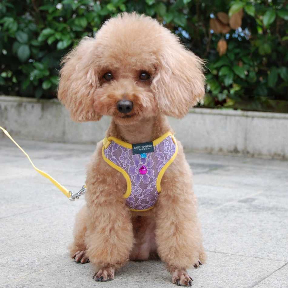 Dog and cat lace shoulder strap vest pet product adjustable with bell running dog strap small dog polyester mesh strap suitable for small and medium-s