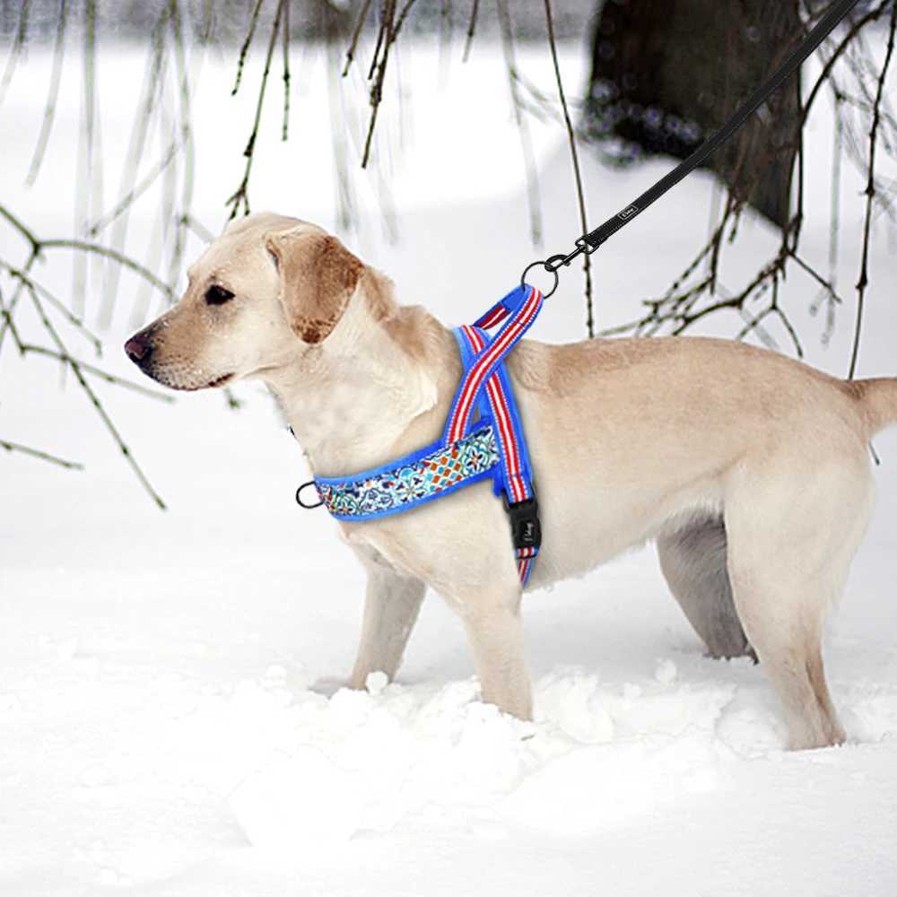 Hot dog harness vest winter dog harness cushion pet training harness adjustable vest small dog bulldog puppy X250326