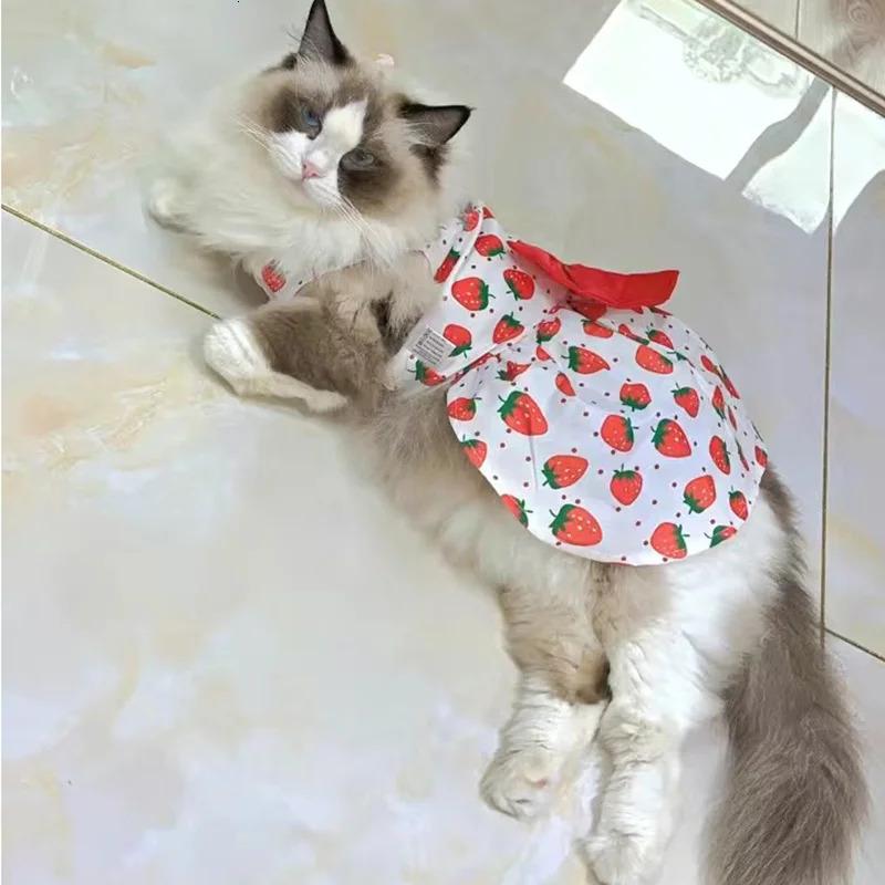 Fashion Cat Puppy Dresses with Bow for Small Dogs Cats Sphynx Chihuahua Fruit Flower Print Pet Clothes ropa para gatos sukienki 250326