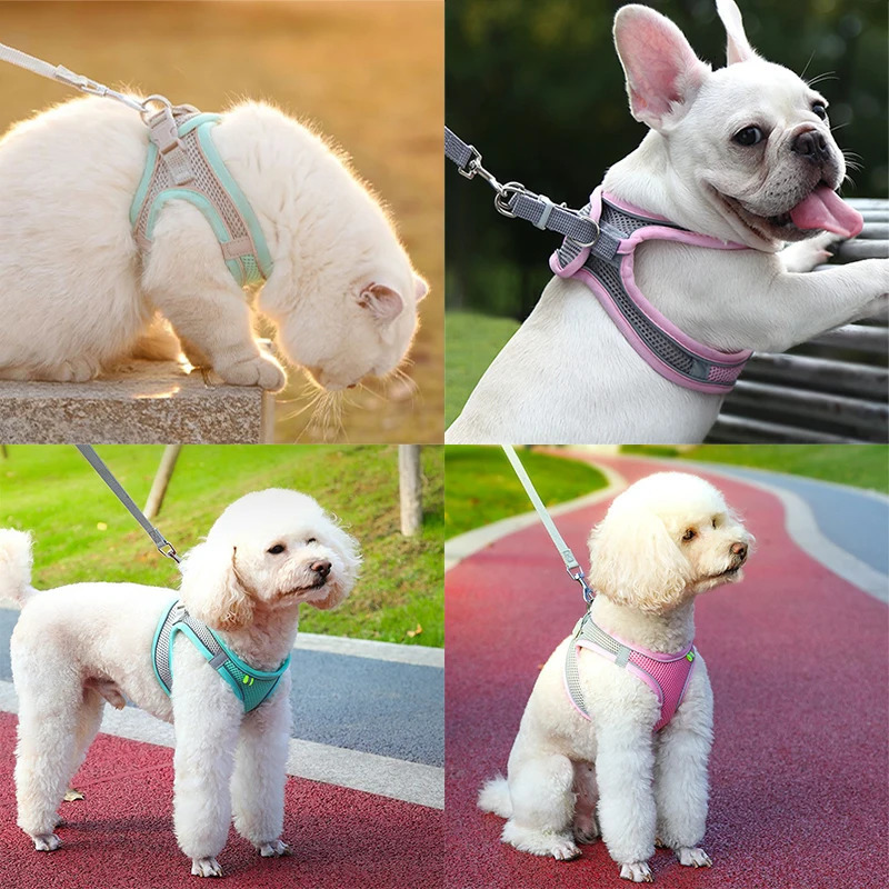 Cat Harness Leash Set Adjustable Dog Cat Collar for French Bulldog Harness Vest Puppy Chihuahua Pet Outdoor Walking Lead Leash 250326