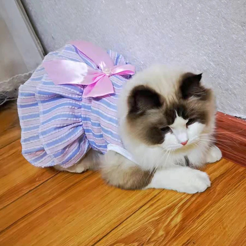 Spring Summer Stripe Sphynx Cat Bow Skirt Cute Pet Dress for Cats Gotas Katten Kedi Dresses mascotas Clothes Clothing vestido 250326