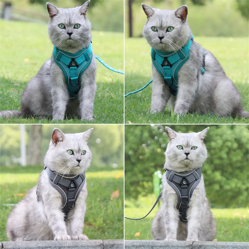 Fashion Reflective Cat Harness and Leash Sets Breathable Mesh Pet Harnesses for Small Dogs Cats Kitten Accessories collier chat 250326