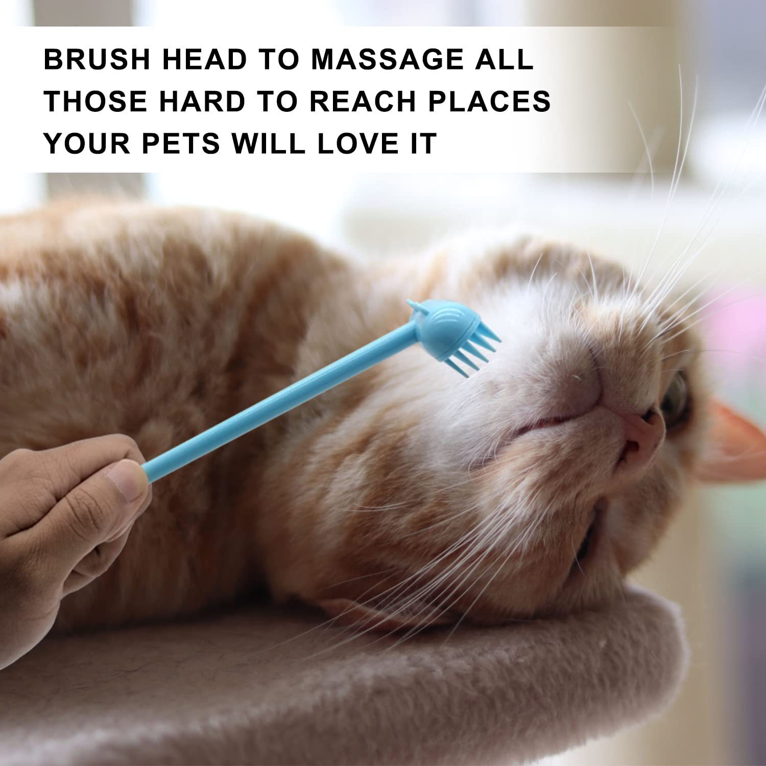 Amazon's new cat grooming and grooming device, cat massage brush, toy cat itching brush, hair removal brush