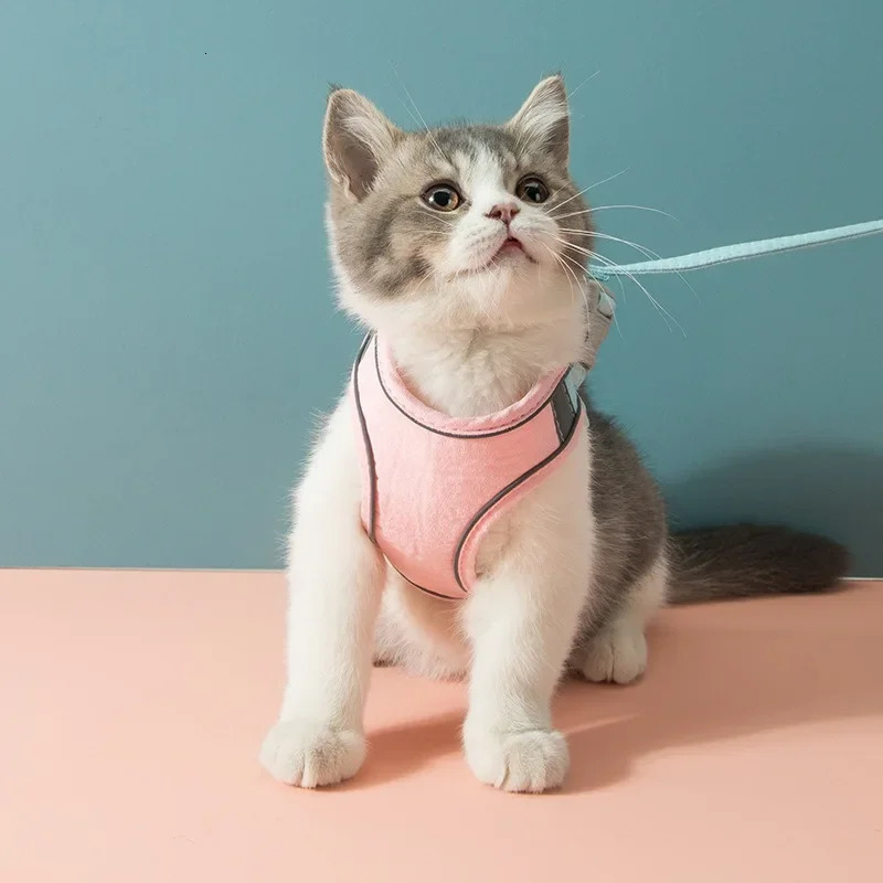 Cat Harness Leash Set for Chihuahua Accessories Dog Cat Vest Pug Leashes Walking Tools Walk Out Leads Products 250326