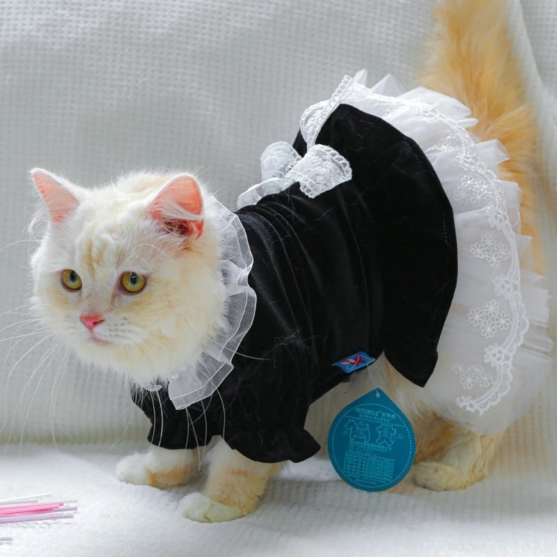 Cat Outfits for Cats Only Dog Clothes Lace Decors Dress Pet Costume Apparel Summer Clothing Accessory for Girl Drop 250326