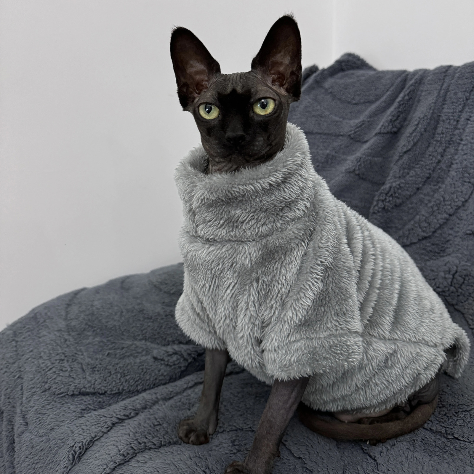 Pet Cat Sweater Home Fur Autumn and Winter Warm Solid Color Soft Arctic Velvet Skincare Suitable for Devonshire Cats Hairless C 250326