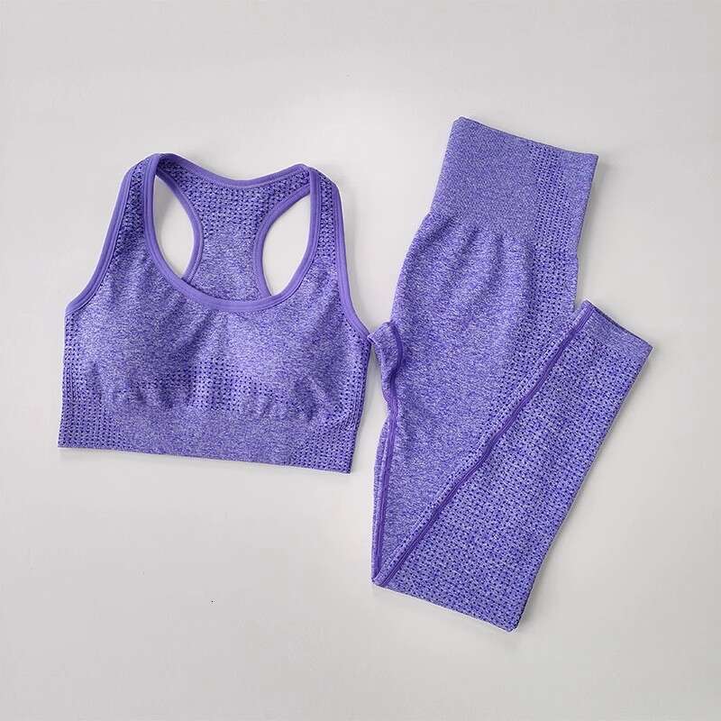 Women Yoga Pants Seamless Set For Women Two Piece Bra And Pants Quick Drying Fitness Set Yoga Suit