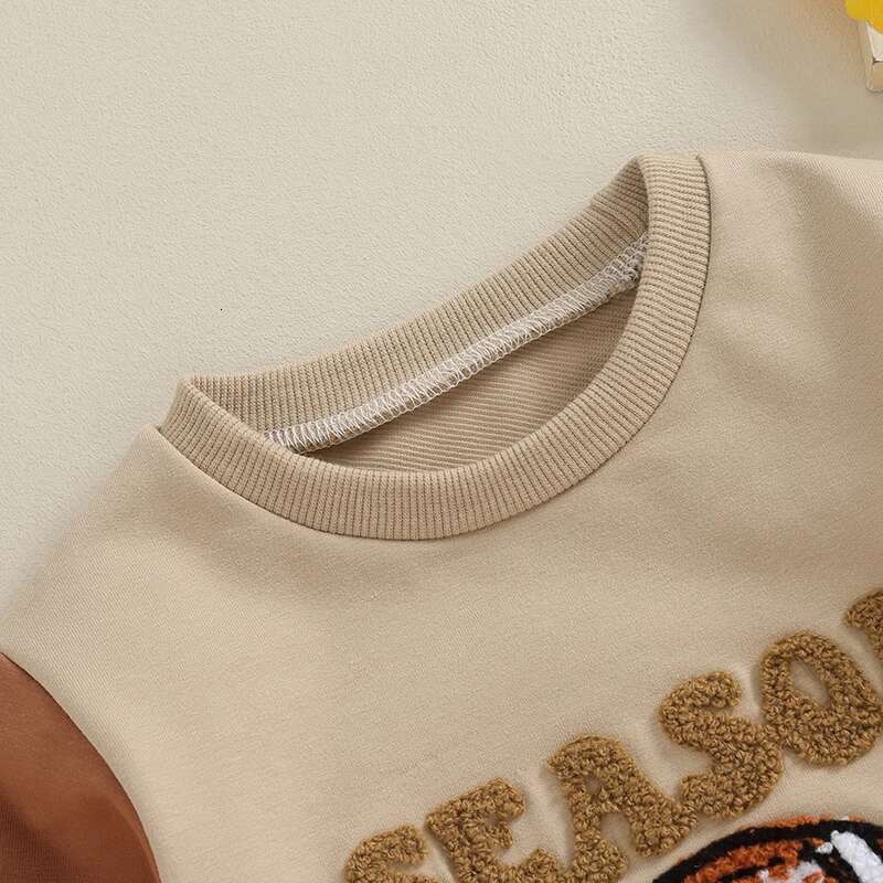 Ddmyshoesvip Kids Crew Neck Sweatshirts With Embroidered Letter Detail Long Sleeve Pullovers Toddler Girls And Boys Casual Tops For