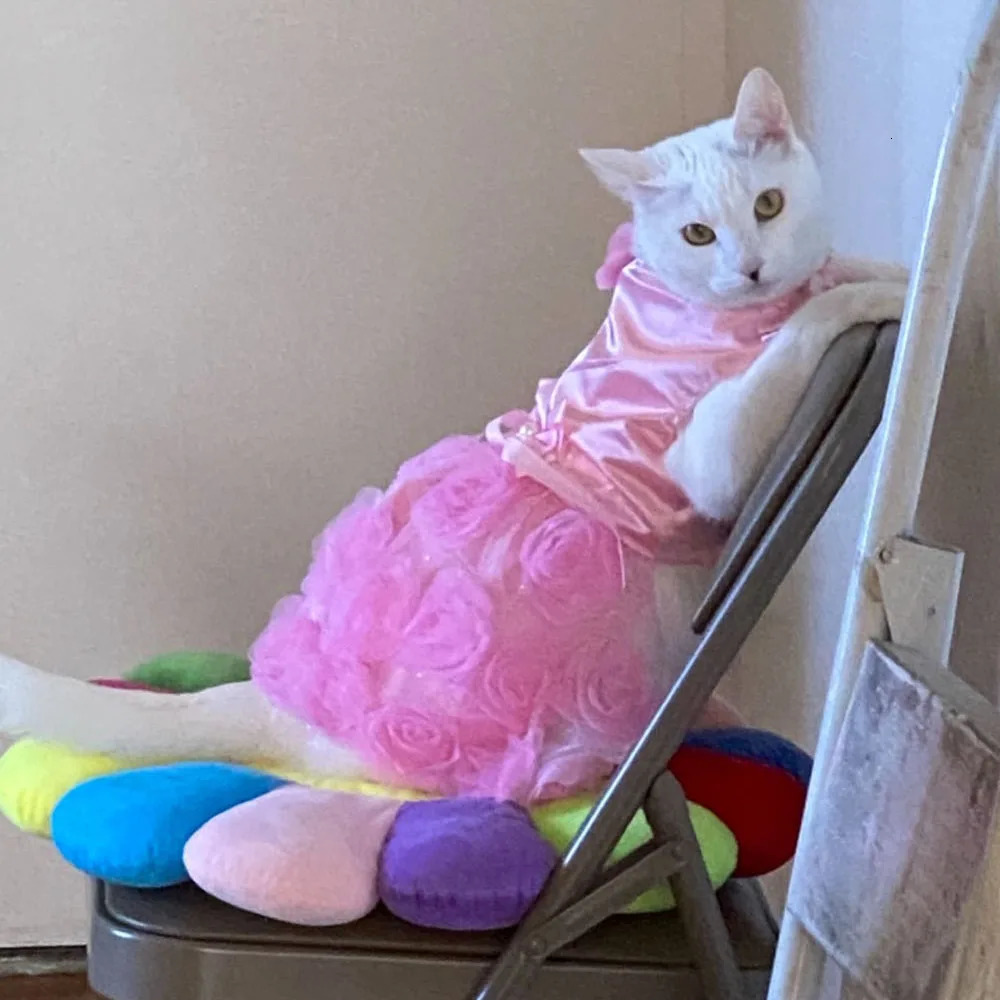 Small Dog Cat Dress Puppy Pet Tutu Skirt Cat Clothes Princess Skirt Dog Cat Wedding Evening Dress with Rose Pearl Bowknot 250326