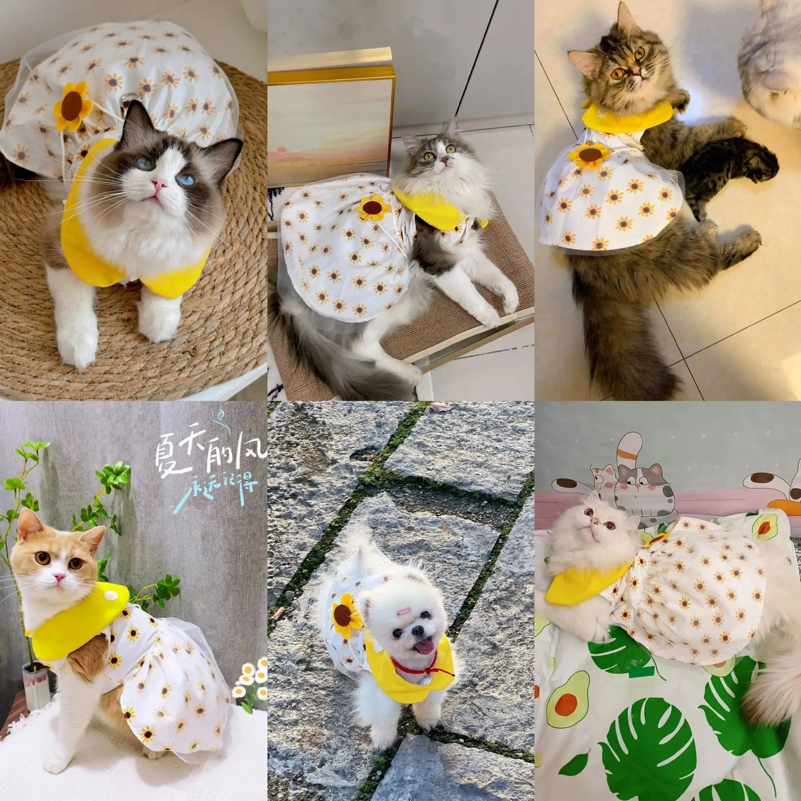 Pet Clothes Cat Puppy Princess Dress Striped Plaid Dresses with Bow for Cats Summer Kitten Dog Sphynx Clothing 250326