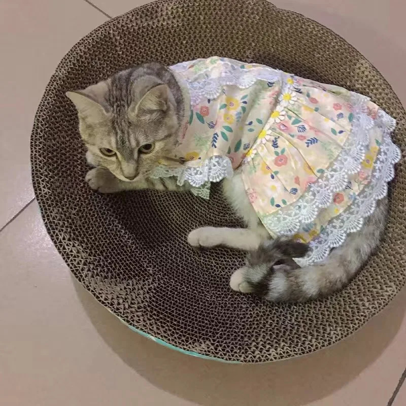 Summer Pet Clothes Cat Lace Dresses for Cats Gotas Flower Sphynx Dog Princess Dress Skirt Kitten mascotas Clothing vetement chat 250326