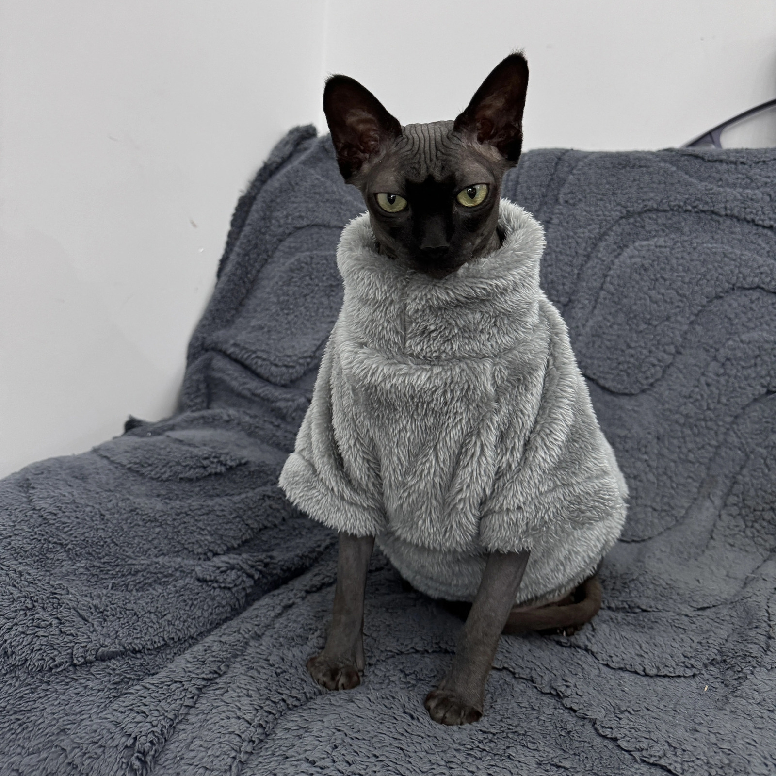 Pet Cat Sweater Home Fur Autumn and Winter Warm Solid Color Soft Arctic Velvet Skincare Suitable for Devonshire Cats Hairless C 250326