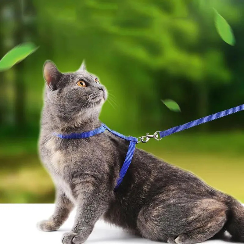 Lightweight Adjustable Cat Harness and Leash Set Escape Proof Kitten Strap Collar for Walking Travel Small Animals Puppy Harness 250326