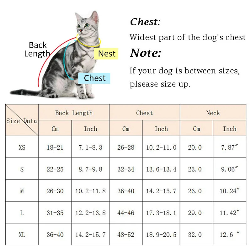 Summer Pet Clothes Cat Lace Dresses for Cats Gotas Flower Sphynx Dog Princess Dress Skirt Kitten mascotas Clothing vetement chat 250326