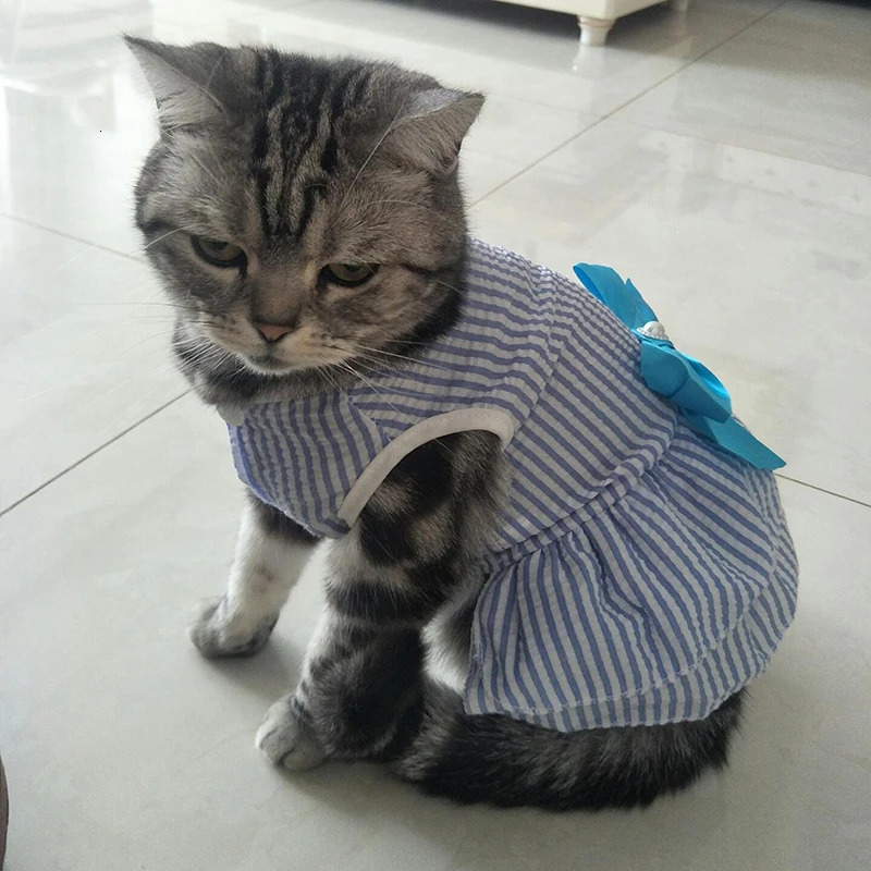 Spring Summer Stripe Sphynx Cat Bow Skirt Cute Pet Dress for Cats Gotas Katten Kedi Dresses mascotas Clothes Clothing vestido 250326