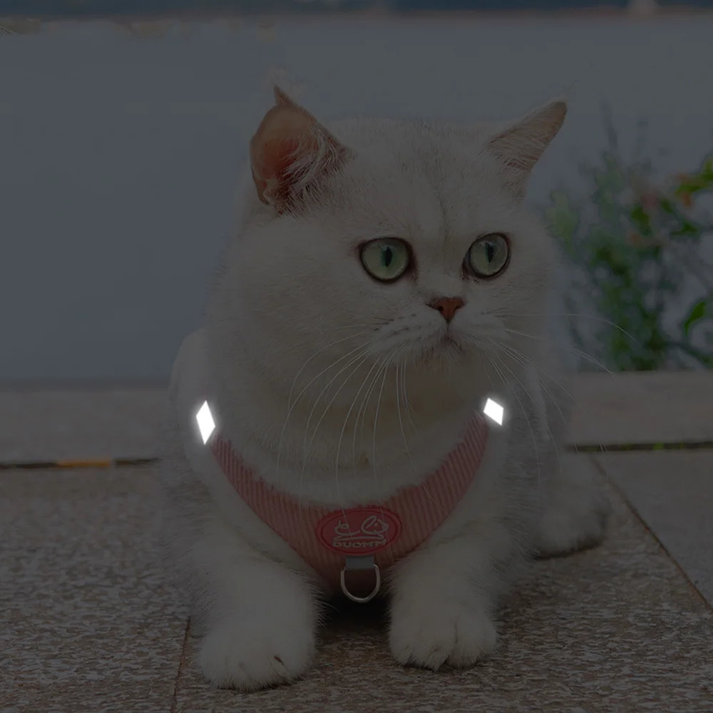 Rabbit Fur Cat Dog Harness and Leash Set Winter Pet Outdoor Walking Supplies Reflective Adjustable Kitten Puppy gatos Harnesses 250326