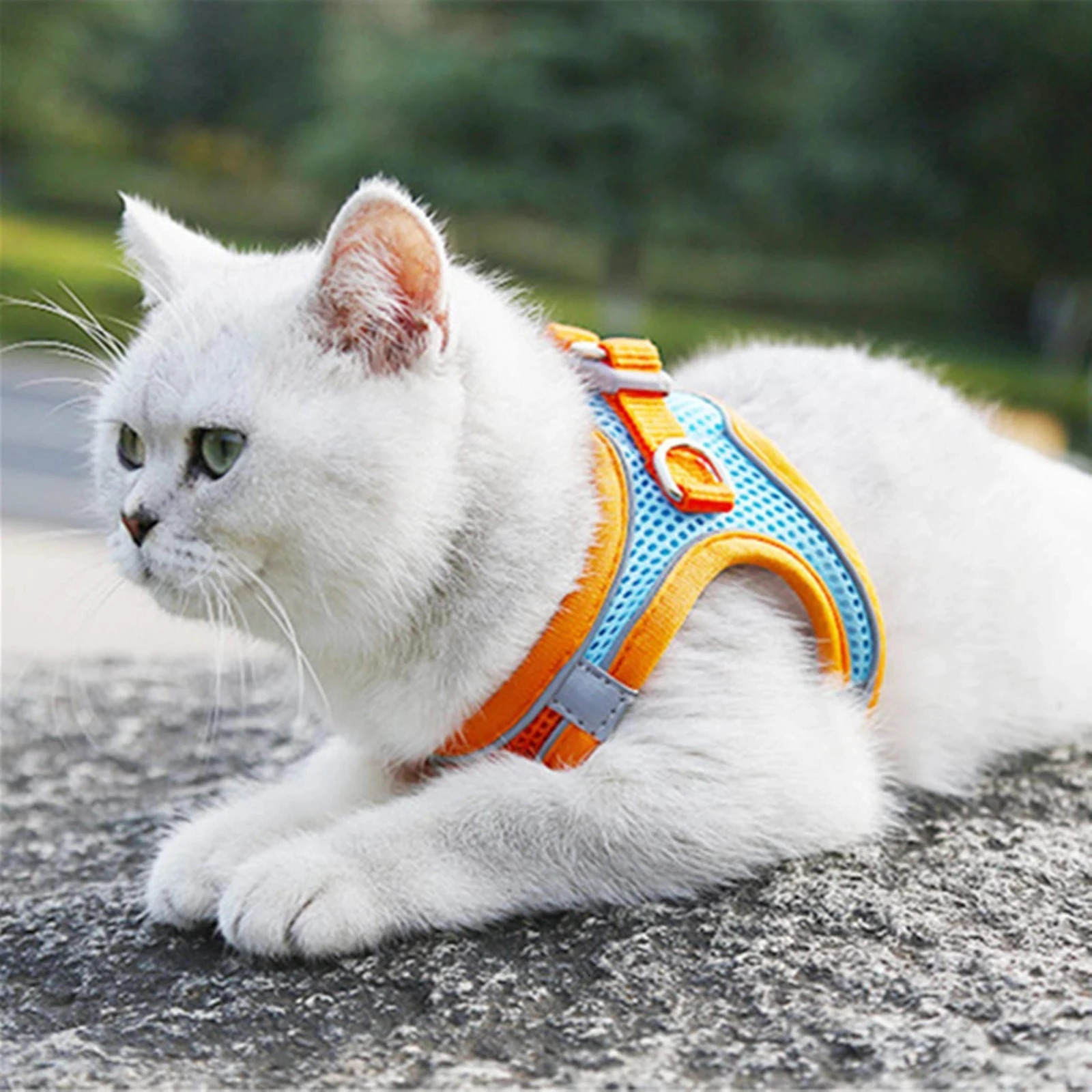 Cat Harness Reflective Pet Harnesses And Leashes Set Adjustable Pet Harness for Cats Small Dogs Pug Chihuahua Cat Accessories 250326