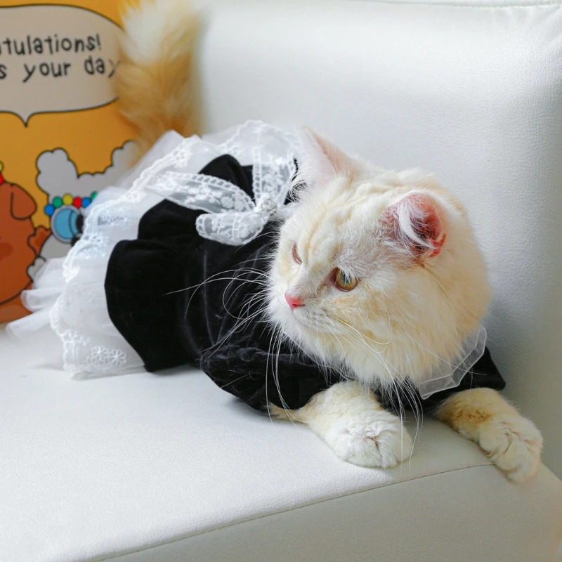 Cat Outfits for Cats Only Dog Clothes Lace Decors Dress Pet Costume Apparel Summer Clothing Accessory for Girl Drop 250326