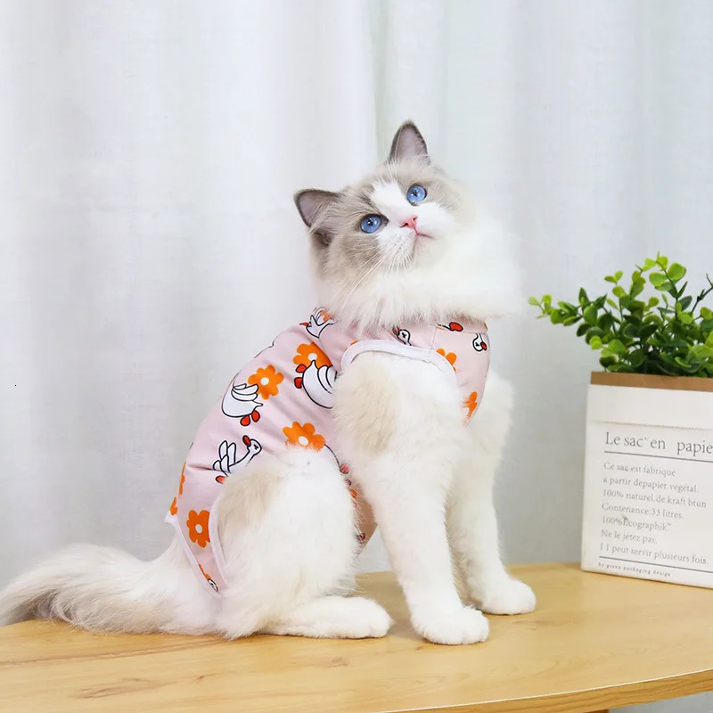 Cat Weaning Sterilization Suit Small Dog Cats Jumpsuit Anti-lick Recovery Clothing After Surgery Cute Print Pet Care Clothes 250326