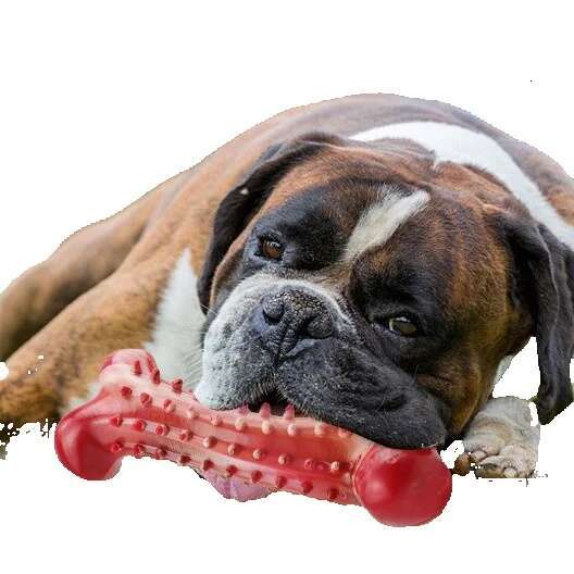 customized vinyl pet toys dog bones dog toys bite resistant teeth cleaning chewing and grinding sticks amazon