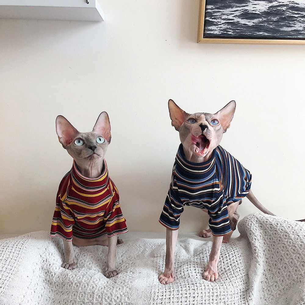Cat Clothes for Sphinx Hairless Cat Clothes Striped Clothing Warm Knitted Shirt Pet Clothes Cat Supplier XS to XL 250326