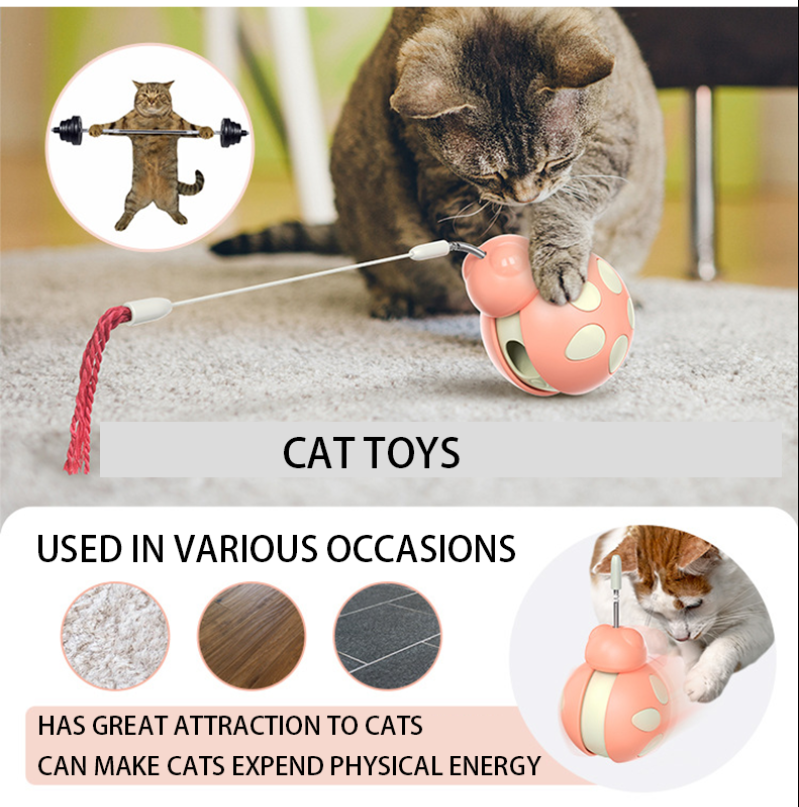 The bright cotton rope of the cat teasing stick attracts the cat's attention and accompanies it to play, suitable for small cat pet supplies