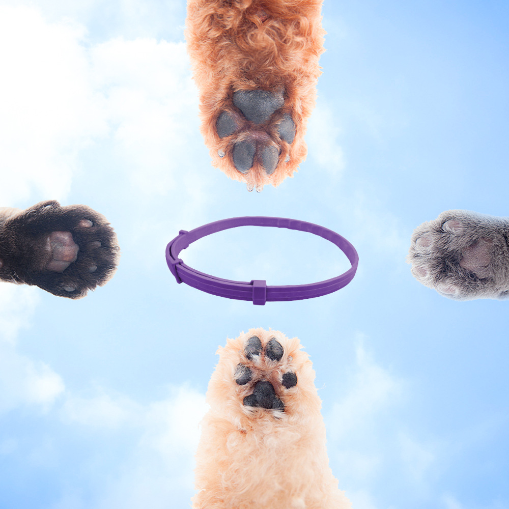 Pet Collar Soothes Collar Anxiety Relieves Collar Adjustable Waterproof Collar Cat and Dog Supplies Pet Supplies