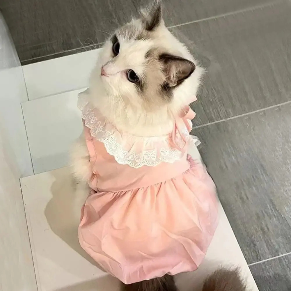 Summer Solid Color Cat Princess Dress Breathable Soft Cat Lace Skirt Elastic Thin Cat Dog Costume 250326