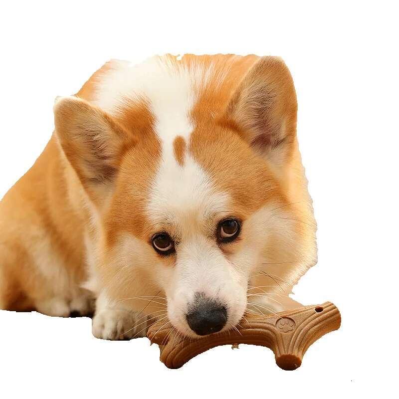 New Creative Pet Toy Dog Bone Anti Bite Teeth Cleaning Natural Pine Chewing and Grinding Rod Amazon Wholesale