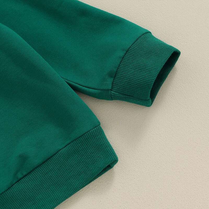 Ddmyshoesvip Children Day Hoodie Shamrock Print Green Pullover Sweatshirt Long Sleeve Top For Kids Toddler Boy Girl Cute