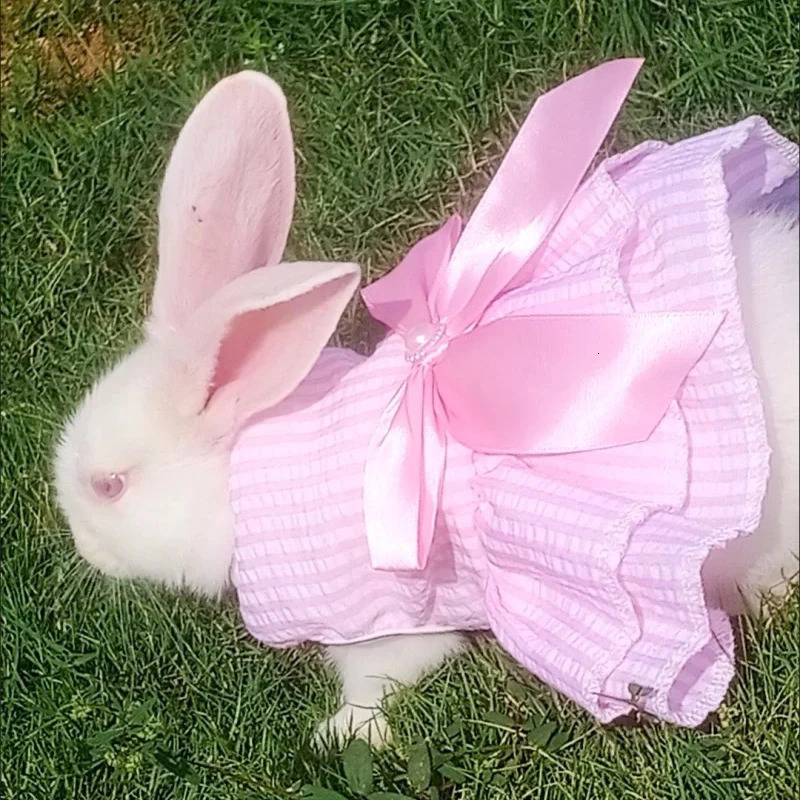 Sweet Bunny Rabbit Skirt Summer Pet Dress for Small Animals Stripe Plaid Puppy Dog Cat mascotas Clothes Clothing estidos perrita 250326