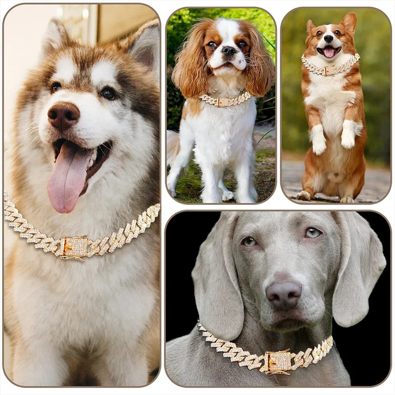Elegant Pet Apparel Stylish Diamond-Encrusted Stainless Steel Collars for Dogs and Cats